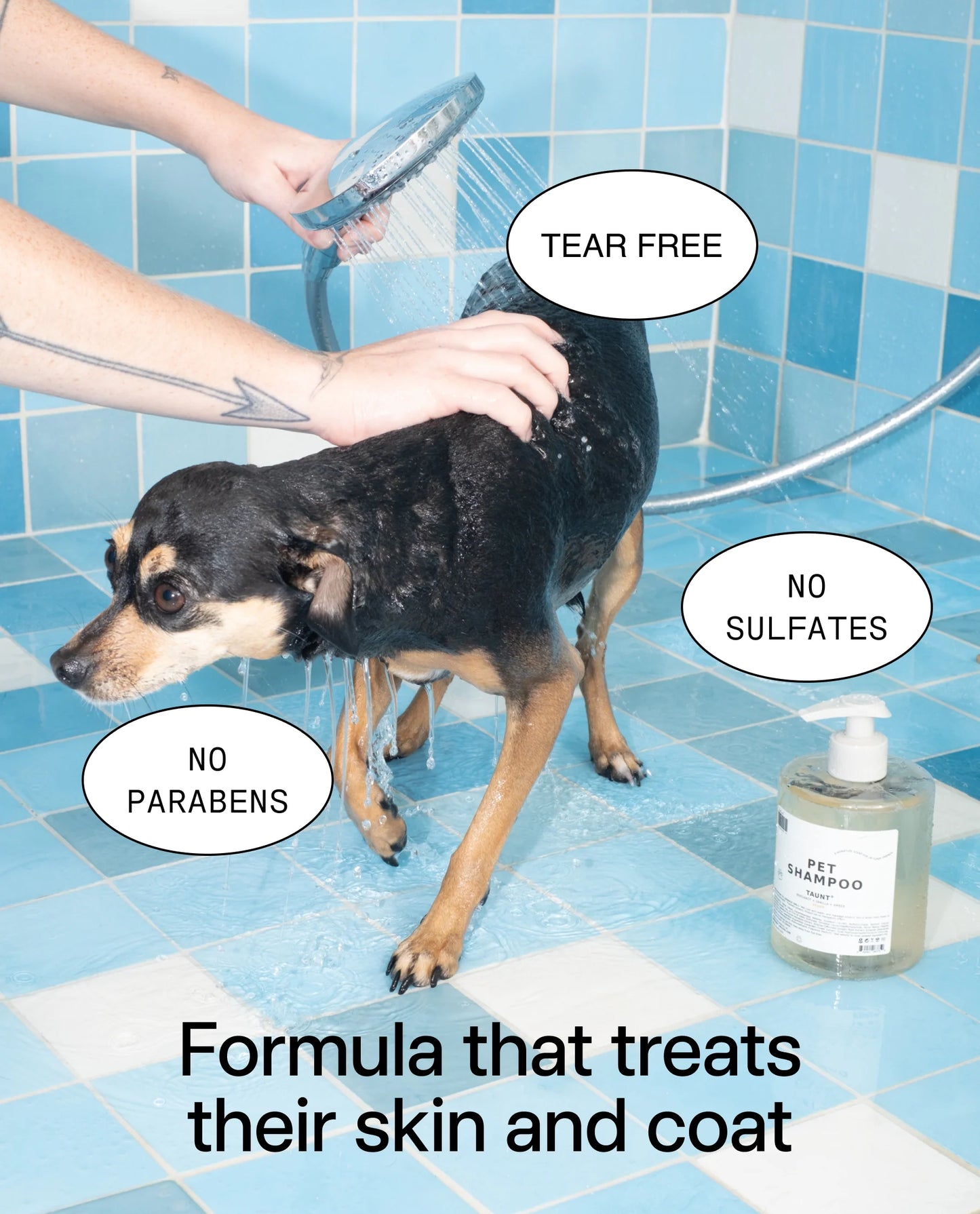 Pet Fragrance 01 "Taunt"