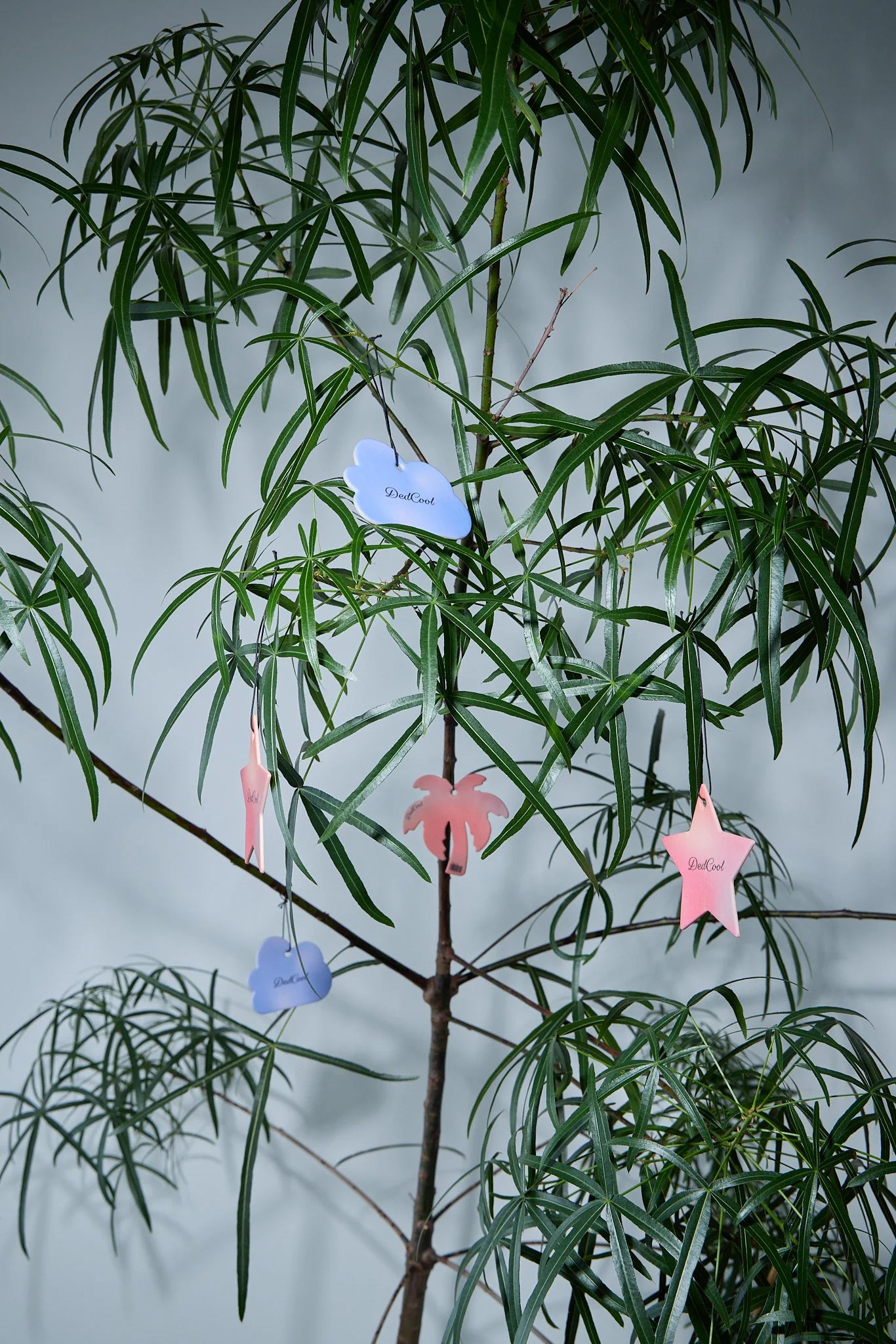 *Limited Edition* Air Freshener Trio